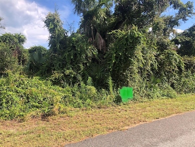 0 Jagust Rd unit MFRA4580604, North Port, FL 34288 - photo 4