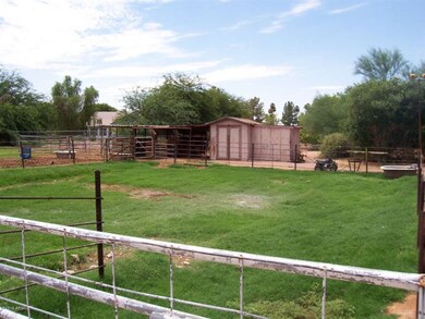 Pasture