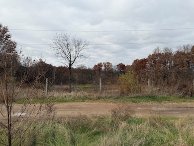 18074 Oriole Trail, Novinger, MO 63559 - photo 3