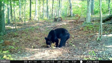 8903 Corner Rd, Hancock, MD 21750 - photo 7