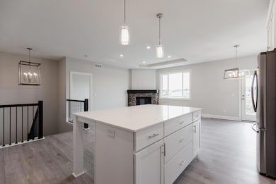 Photo's represent same floor plan built previously. Selections may vary but room size and location will be the same.