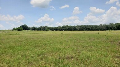 unlisted-address, Thonotosassa, FL 33592 - photo 2