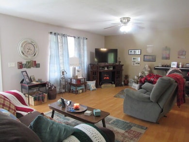 7210 Newkirk Rd, Mountain Grove, MO 65711 - photo 6