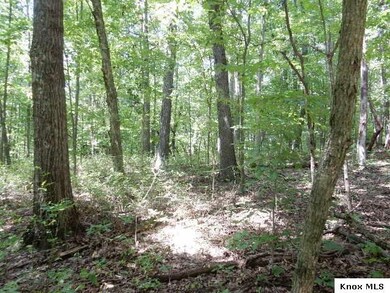 Lot 374 Highland Hills Subdivision, Howard, OH 43028 - photo 5