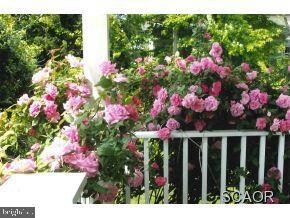 33519 W Hampton Ln, Ocean View, DE 19970 - photo 2