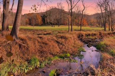 6742 Dawnwood & 0 Poage Valley Rd, Roanoke, VA 24018 - photo 4