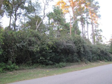 0 Sentinel Oaks, Pinehurst, TX 77362 - photo 4