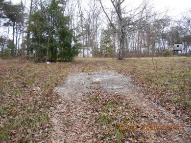 old driveway