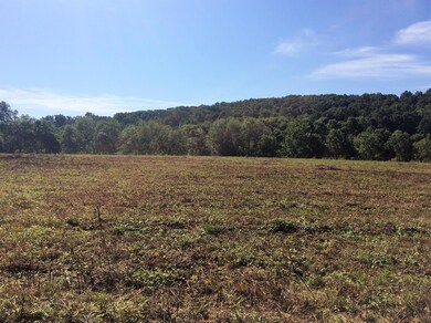 30 Ac. - Borden Grant Trail unit 706, Fairfield, VA 24435 - photo 3