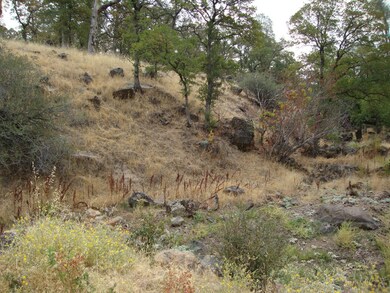 Seasonal Creek