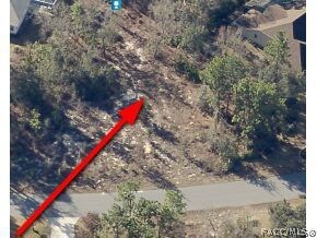 6 Primula Ct W, Homosassa, FL 34446 - photo 5