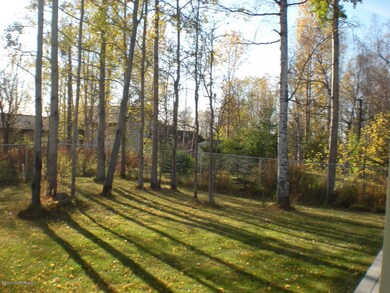 Treed Backyard