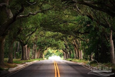 Tunnel of Trees in East Hill near Duplex