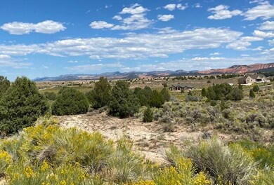 IMG_0062