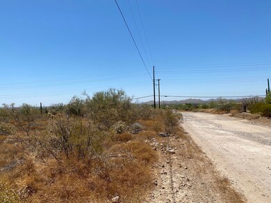 IMG-1684
