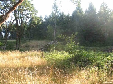 0 SW Rock Creek Rd unit 752622, Sheridan, OR 97378 - photo 4