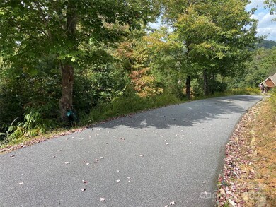 0 Willow Top Ln unit 311 CAR4197864, Lake Lure, NC 28746 - photo 3