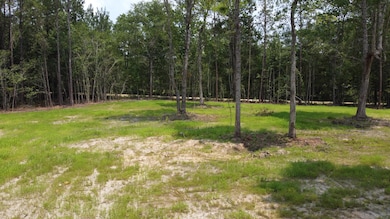 9 Steed Creek Rd, Huger, SC 29450 - photo 4