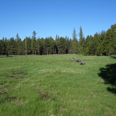 Lot 702 meadow