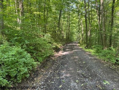 TBD Irontown Rd, Independence, WV 26374 - photo 4