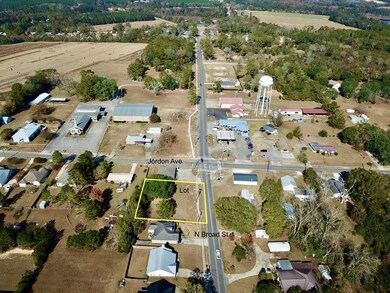 .35 Acres N Broad St, Cowarts, AL 36321 - photo 2