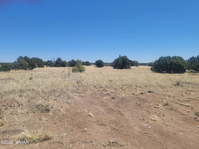 Resized_20220601_111736