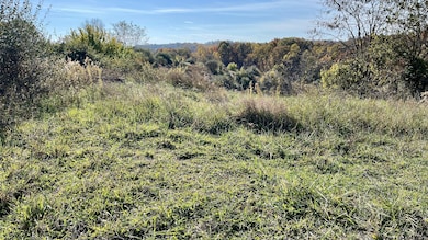 0 Rabbit Goins Ln, Malta Township, OH 43758 - photo 6