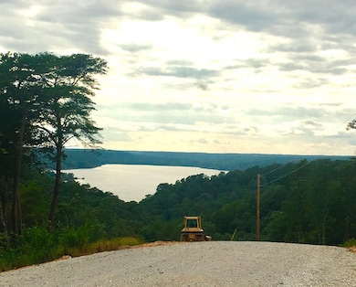 0 Pelican Ct unit RTC2975533, Waverly, TN 37185 - photo 4