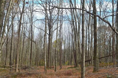 0 Beam Rd unit 4419337, Glenmont, OH 44628 - photo 3