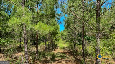 0 Montgomery Rd, Mauk, GA 31058 - photo 6