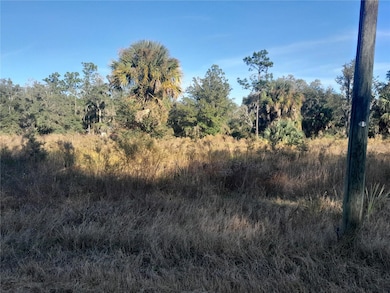 tbd SE 110th Ave, Inglis, FL 34449 - photo 4