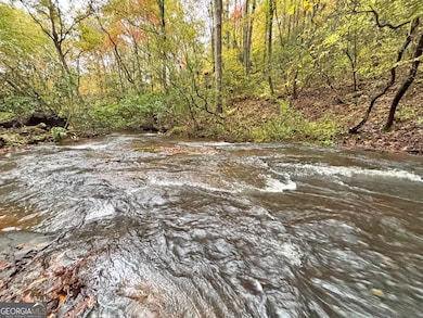 571 Jones Creek Rd, Ellijay, GA 30540 - photo 7