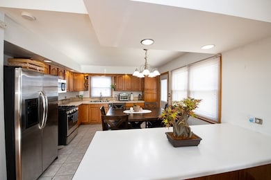 12507 S Tripp Ave, Alsip, IL 60803 - photo 7