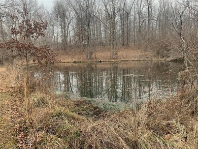 4240 Highway M, Poplar Bluff, MO 63901 - photo 7