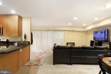 1140 Cove Rd unit 101, Annapolis, MD 21403 - photo 4