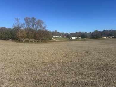 0 Petty Rd, Sparta, TN 38583 - photo 6