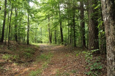 150=911# Cr 233 (King Bailey Road), Oxford, MS 38655 - photo 4