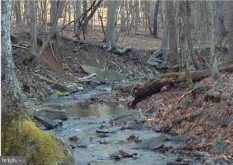 0 Noland Ridge Rd unit 1000215419, Slanesville, WV 25444 - photo 5