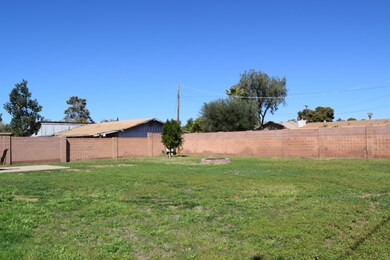 Huge backyard