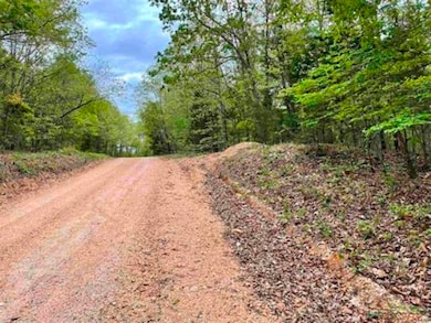 0 Timbercrest Rd, Viola, AR 72583 - photo 5