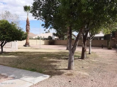back yard 2
