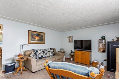 Living room with a textured ceiling and carpet flooring