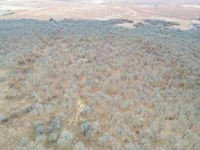 Tbd Tract 9 County Road 2145, Bartlesville, OK 74003 - photo 5