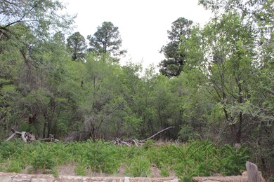 700 N Adams Place, Show Low, AZ 85901 - photo 4