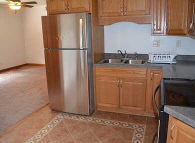 301 E 1st St unit 3, Cedar Point, IL 61316 - photo 3