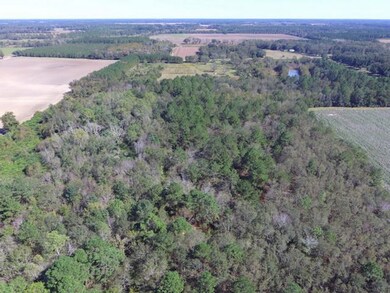 88.2 acr Ione Rd, Pavo, GA 31778 - photo 7