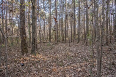 0 La Hwy 967 unit 22338509, Saint Francisville, LA 70775 - photo 5