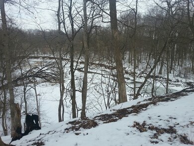 21772 2200 East St, Princeton, IL 61356 - photo 7