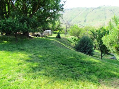 Side yard