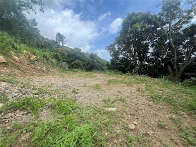 KM 19.9 Carr 128, Yauco, PR 00698 - photo 5